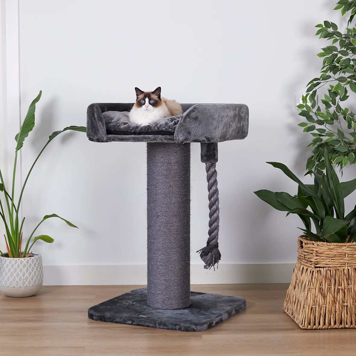 KAZOO CAT SCRATCH & SLEEP CHARCOAL
