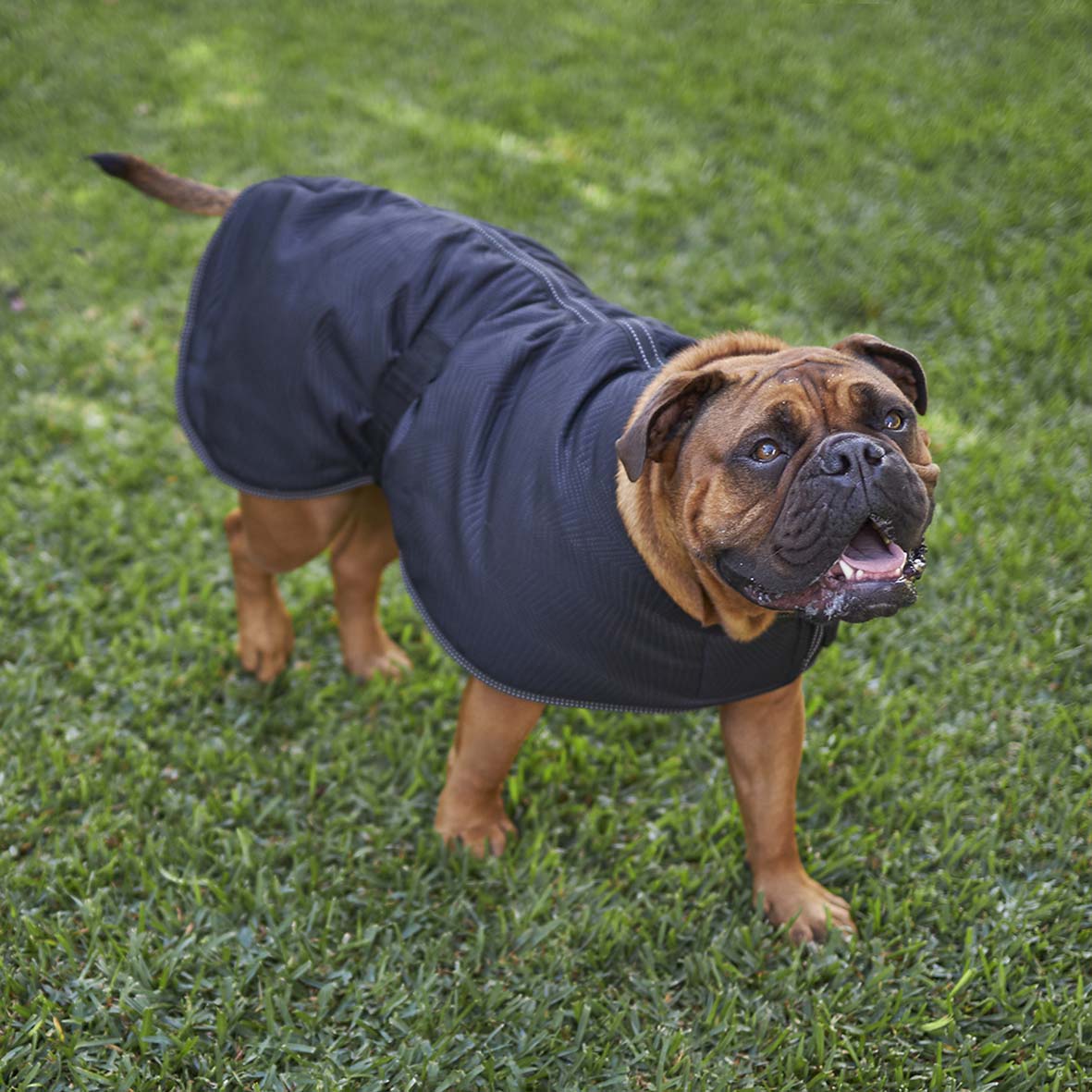 KAZOO ADVENTURE COAT BLACK 46CM MEDIUM