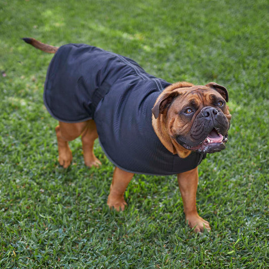 KAZOO ADVENTURE COAT BLACK 46CM MEDIUM