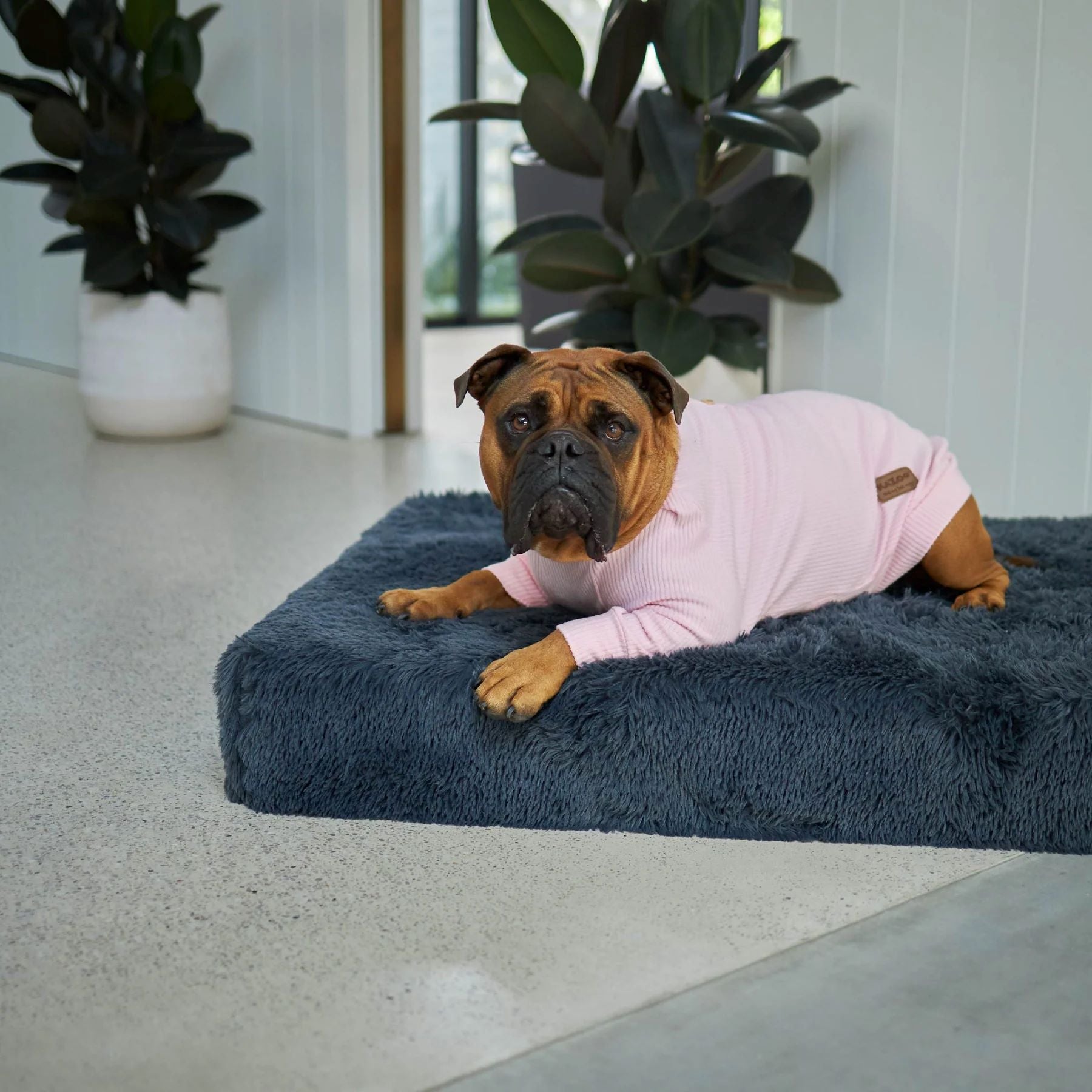 KAZOO COAT POOCH PAJAMAS PINK 46