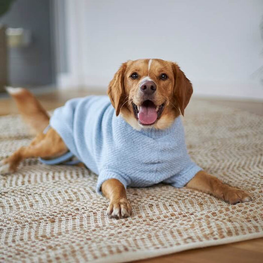 KAZOO COAT PLUSH POLO BLUE 40