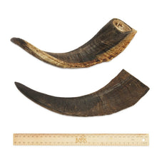 Load image into Gallery viewer, BARK &amp; BEYOND GOAT HORN LARGE