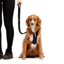 Load image into Gallery viewer, EZYDOG LEASH ZERO SHOCK 48 BLACK