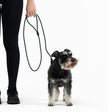 Load image into Gallery viewer, EZYDOG LEASH LUCA LITE 67INCH BLK