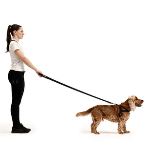 EZYDOG LEASH ESSENTIAL 48 BLACK