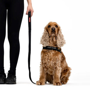 EZYDOG LEASH ESSENTIAL 48 BLACK