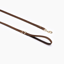 Load image into Gallery viewer, EZYDOG LEASH OXFORD 48 LITE BROWN