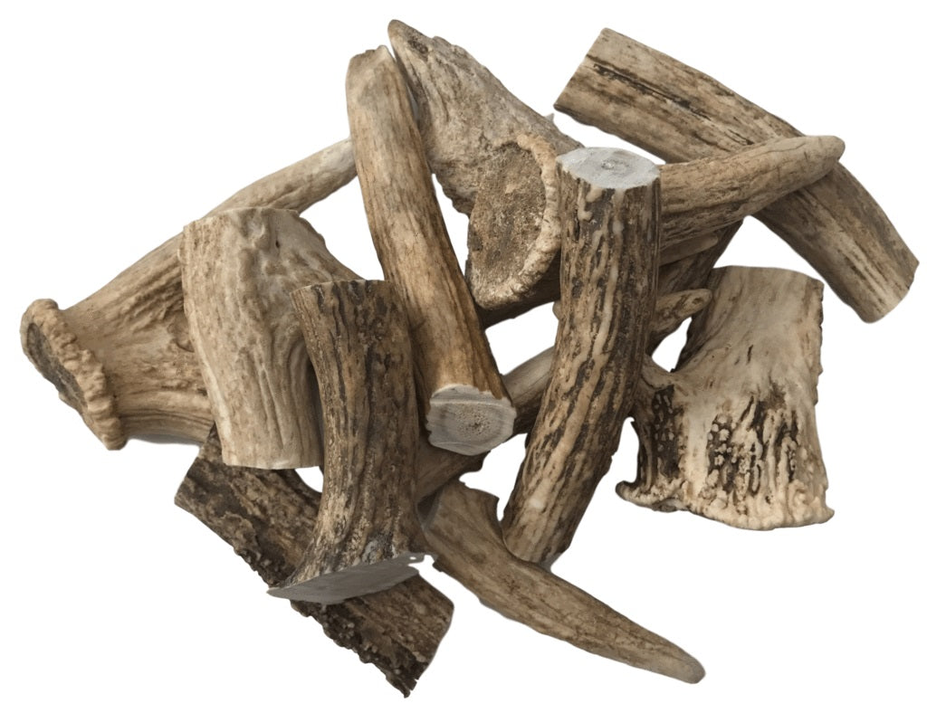 DEER ANTLER MEDIUM