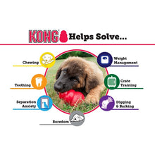 Load image into Gallery viewer, KONG PUPPY - LARGE
