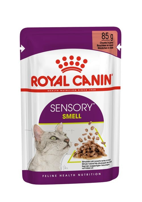 Pack of ROYAL CANIN CAT SENSORY SMELL GRAVY 85G X 12