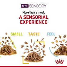 Load image into Gallery viewer, Pack of ROYAL CANIN CAT SENSORY SMELL GRAVY 85G X 12