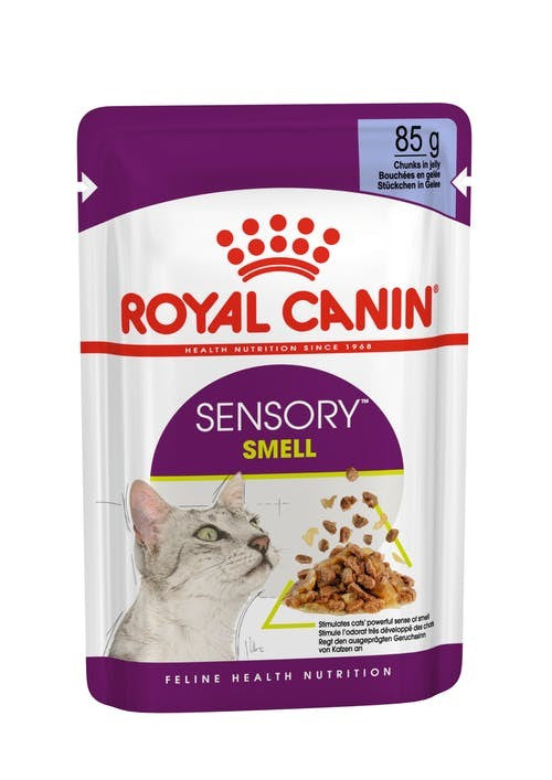 Pack of ROYAL CANIN CAT SENSORY SMELL JELLY 85G X 12