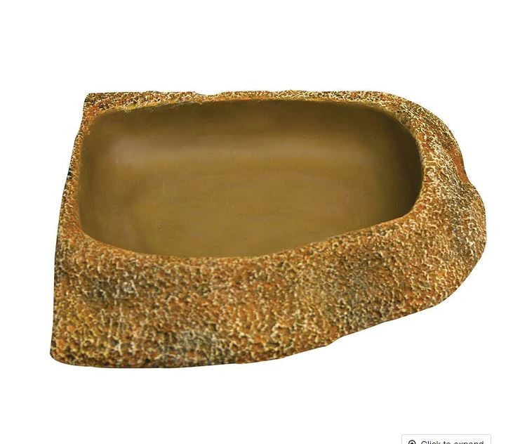 REPTILE ONE DYNO REPTILE ONECK DISH SHALLOW MD