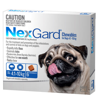 NEXGARD CHEWS MD DOG BLUE 6PK