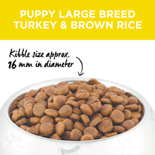 Load image into Gallery viewer, IVORY COAT PUPY LARGE BREED TURKEY &amp; BROWN RICE 2.5KG