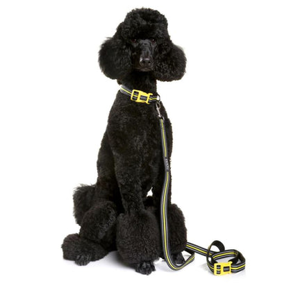 DOOG collar 'bolt'